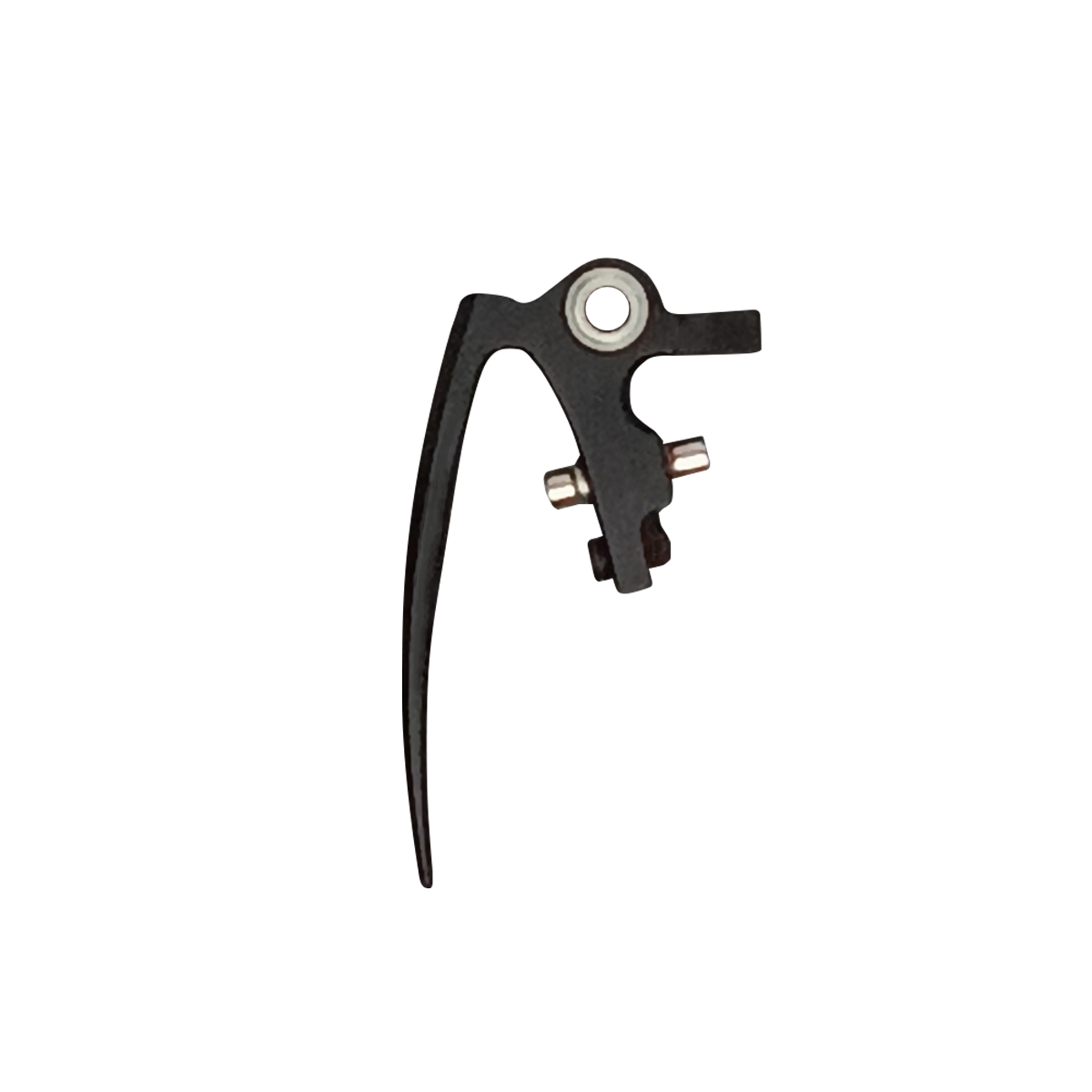 DSR+ FANG TRIGGER